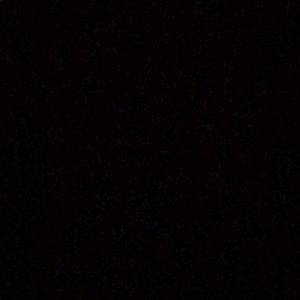 Meet your Posher, Bobby